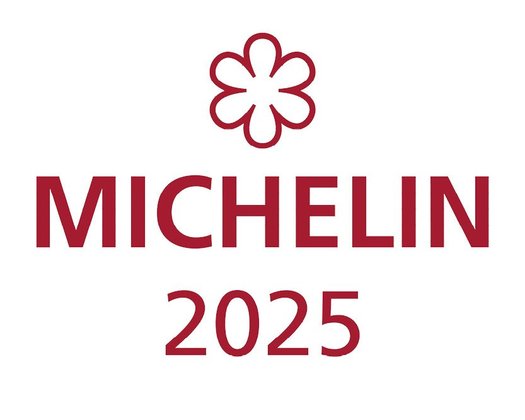 Michelin Logo Michelin